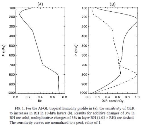 Spencer and Braswell (1997)