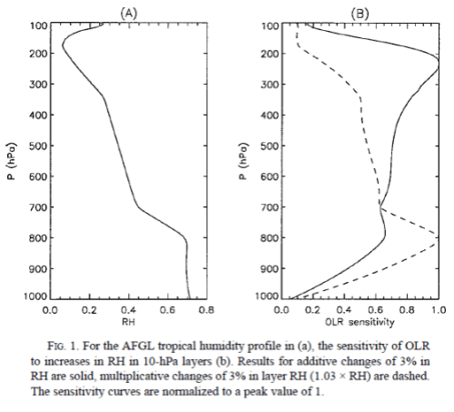 Spencer and Braswell (1997)