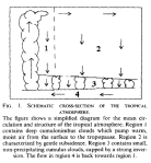 Convection-subsidence-Minschwaner-McElroy-1992